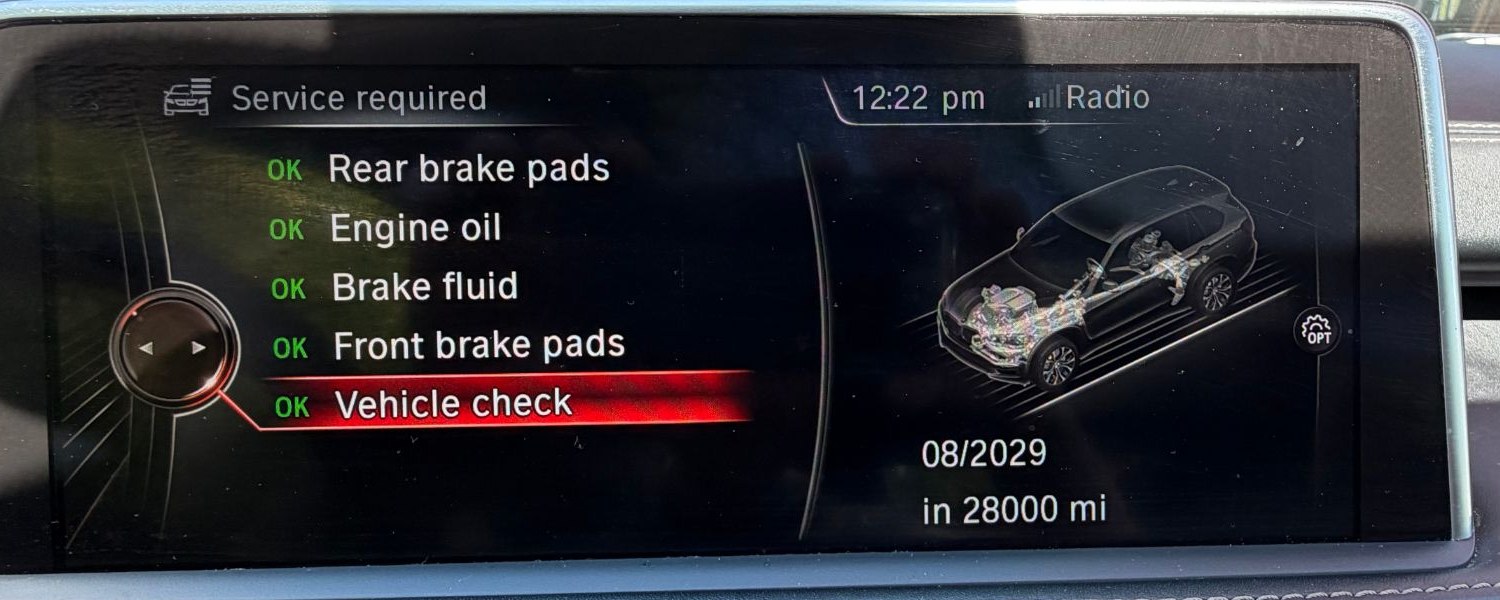 Service screen: rear brake pads, engine oil, brake fluid, front brake pads and vehicle check all OK